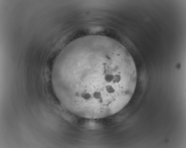 X0000115190565200911251422