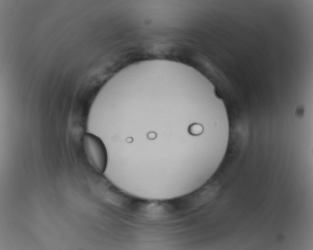 X0000115190566200911251422