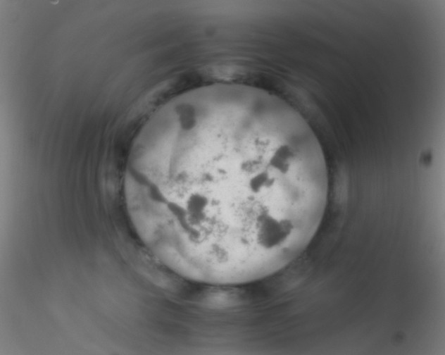 X0000115190569200911251422