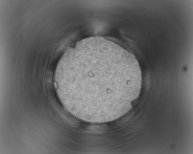 X0000115190571200911251422