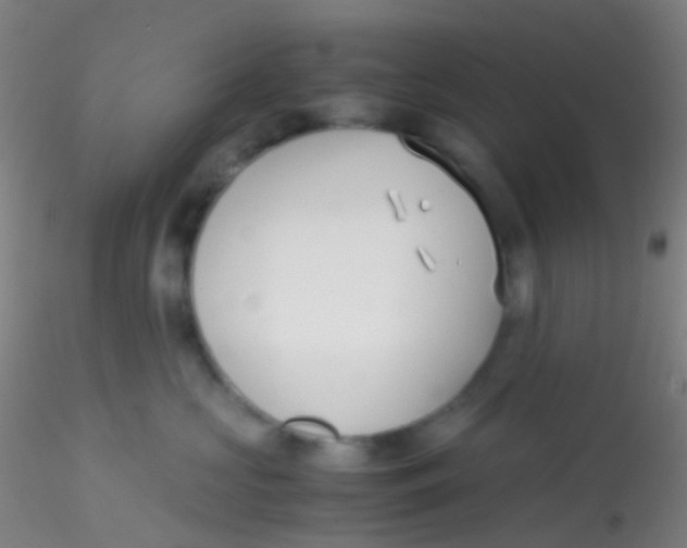 X0000115190573200911251422