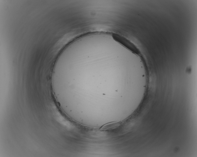 X0000115190577200911251422