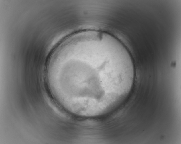 X0000115190578200911251422