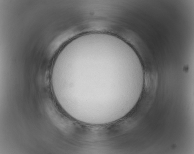 X0000115190579200911251421