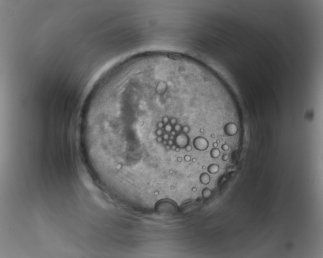 X0000115190580200911251421