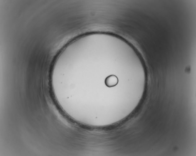 X0000115190581200911251421