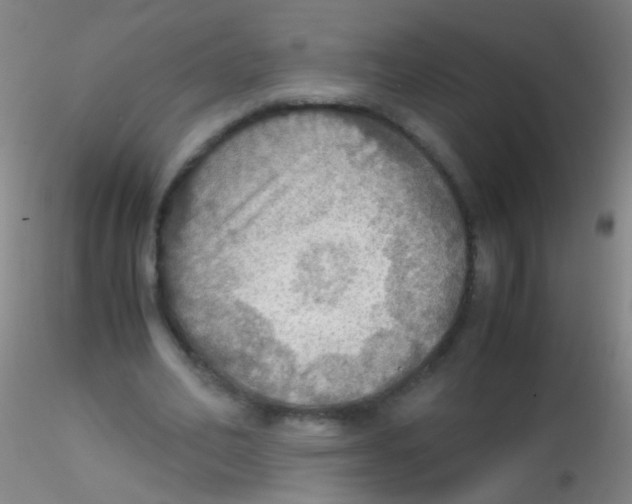 X0000115190582200911251421