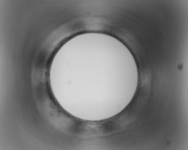 X0000115190583200911251421