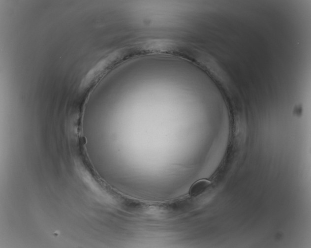 X0000115190585200911251421