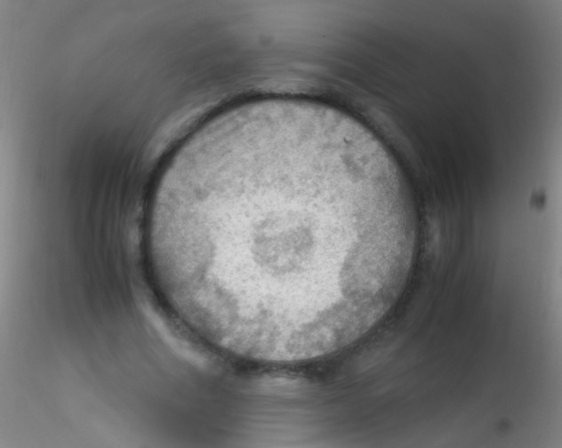 X0000115190586200911251421