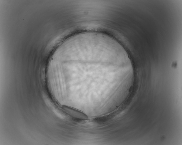 X0000115190589200911251421