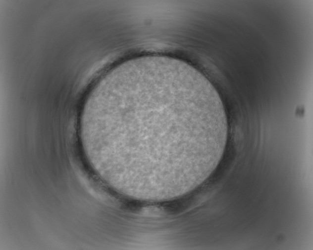 X0000115190591200911251421