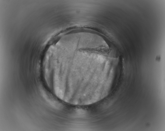 X0000115190592200911251421