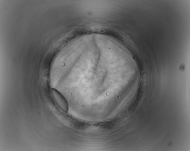 X0000115190593200911251421