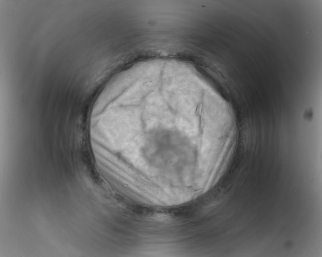 X0000115190594200911251421