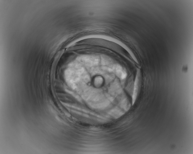 X0000115190596200911251421