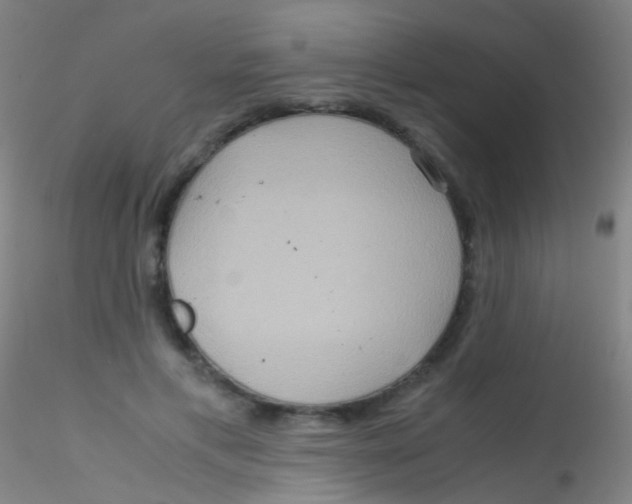 X0000115190597200911251421