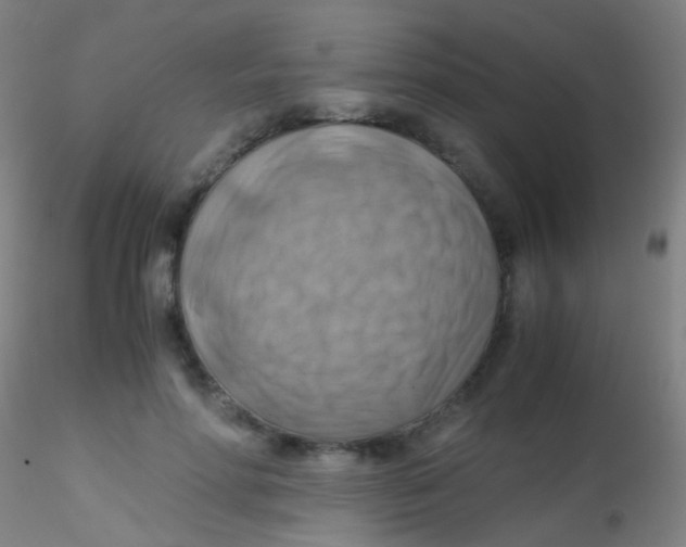 X0000115190598200911251421