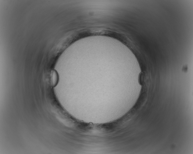 X0000115190601200911251421