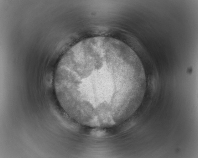 X0000115190602200911251421