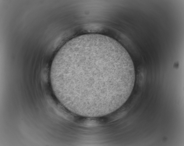 X0000115190604200911251421