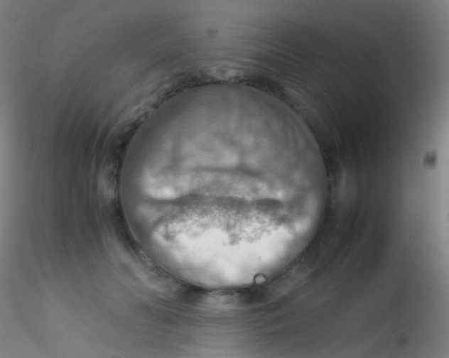 X0000115190606200911251421