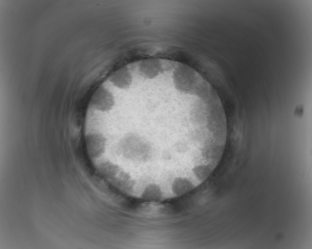 X0000115190607200911251421