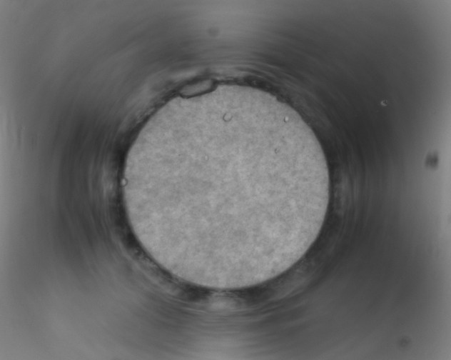 X0000115190608200911251421