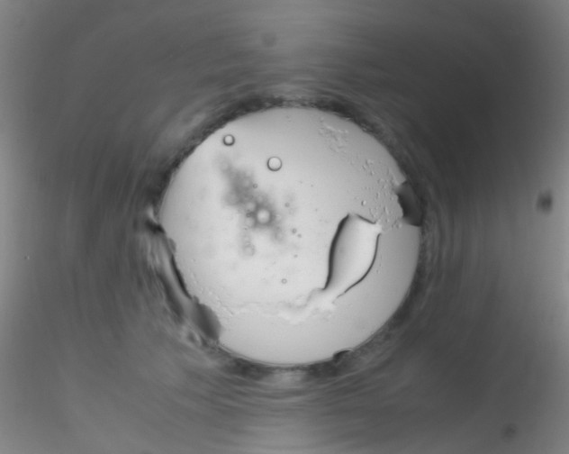 X0000115190609200911251421