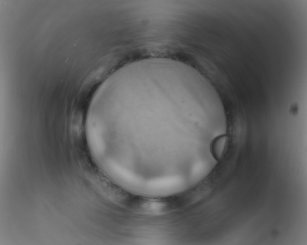 X0000115190610200911251421