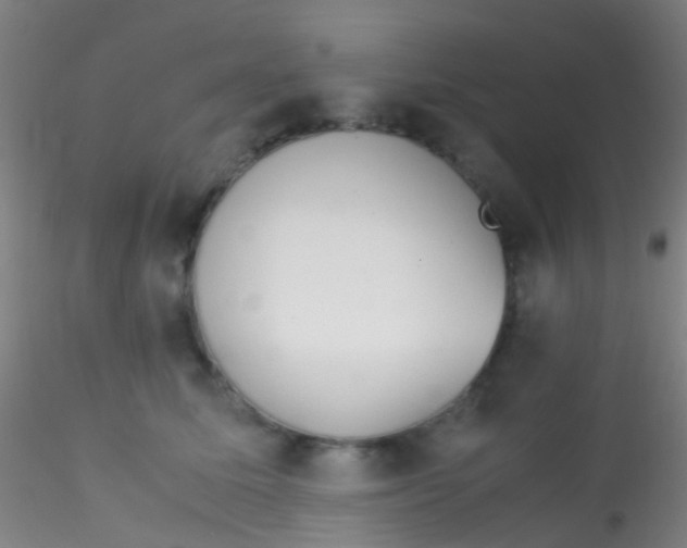 X0000115190611200911251421