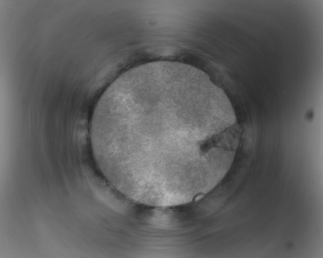 X0000115190612200911251421