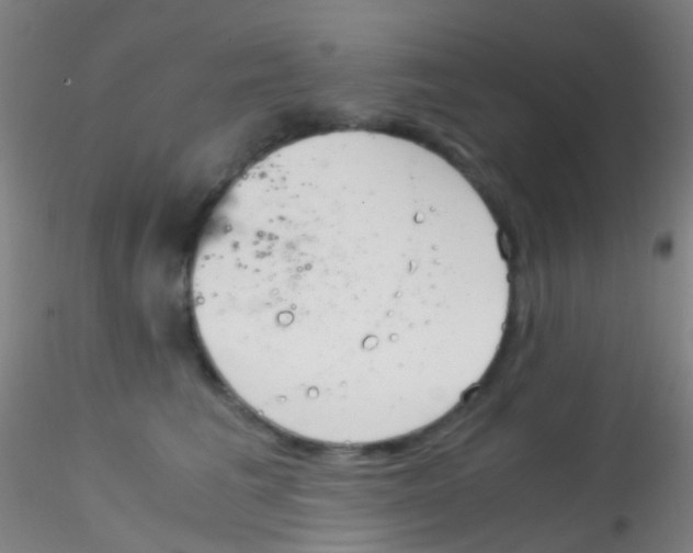 X0000115190613200911251421