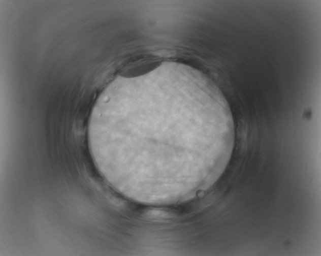 X0000115190614200911251421