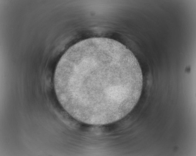 X0000115190615200911251421