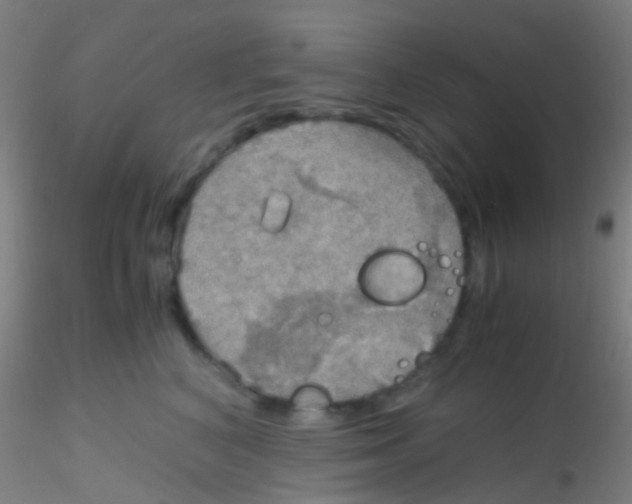 X0000115190616200911251421