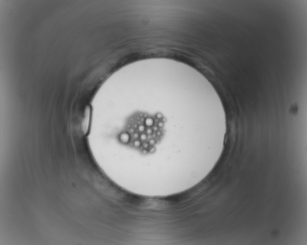 X0000115190617200911251421