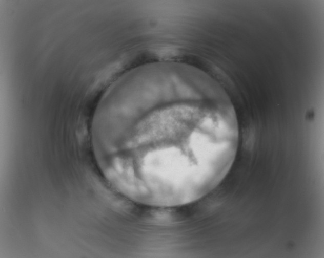 X0000115190618200911251421