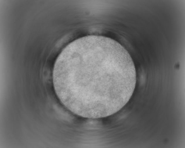 X0000115190619200911251421