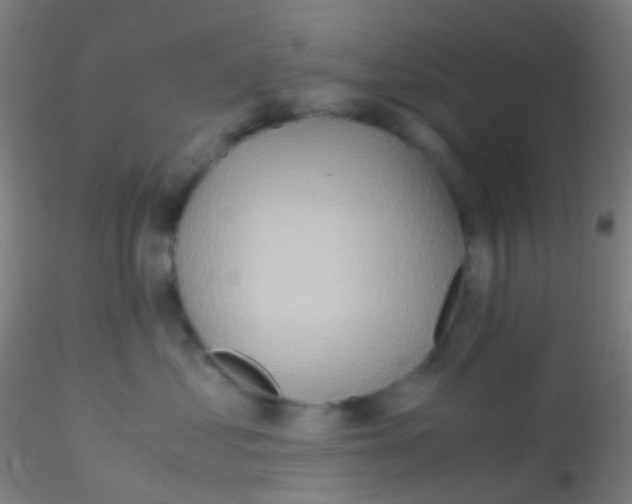 X0000115190621200911251421