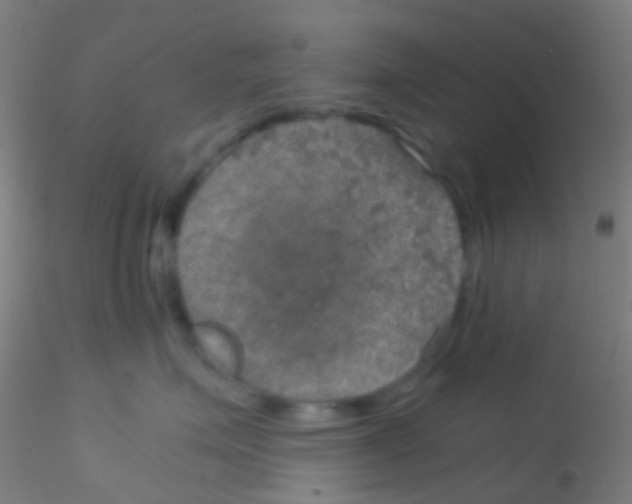 X0000115190623200911251421