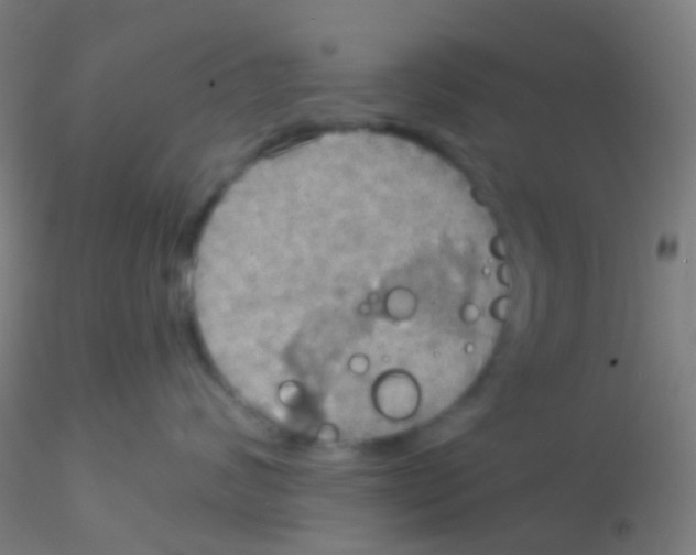 X0000115190624200911251421