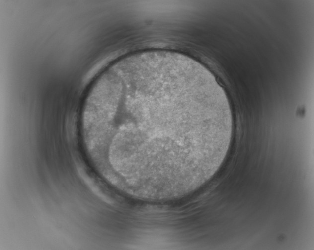 X0000115190626200911251420