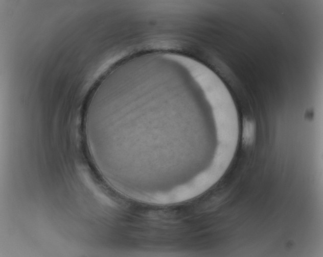 X0000115190627200911251420