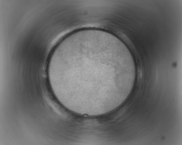 X0000115190628200911251420