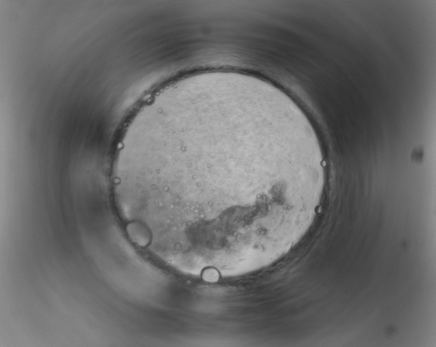 X0000115190629200911251420