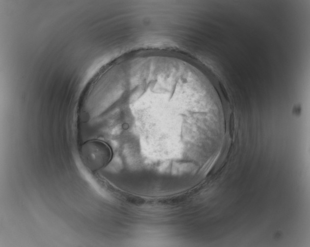 X0000115190630200911251420