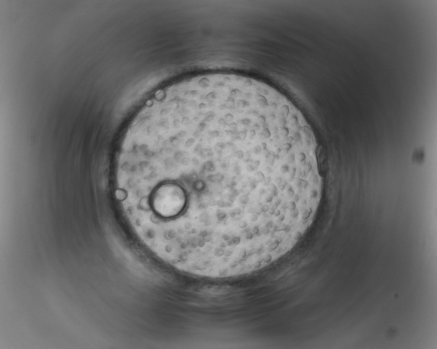 X0000115190631200911251420