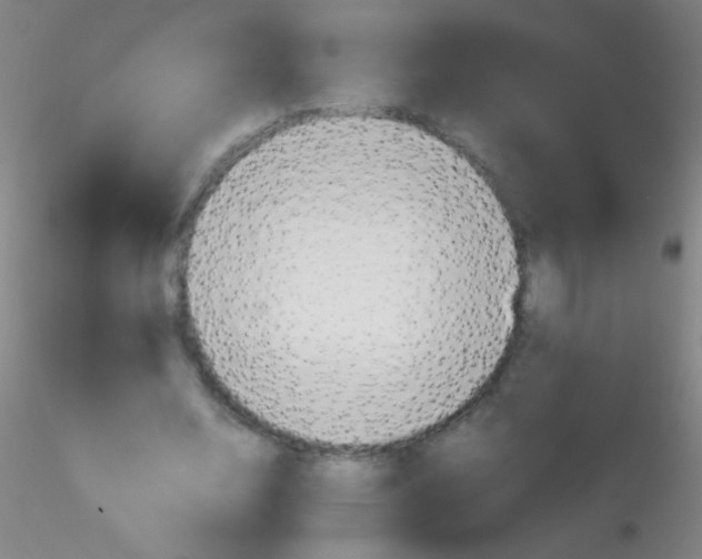 X0000115190632200911251420