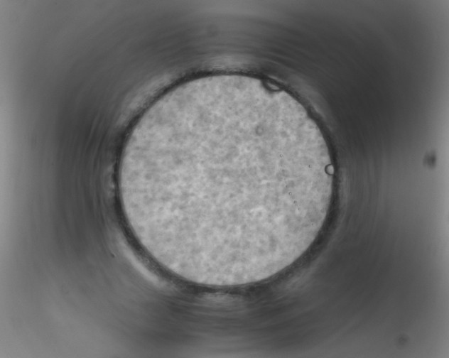 X0000115190633200911251420